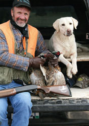 man's best friend 